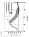 Fig. 03 - Pedaling correction device for bicycle