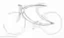 Fig. 01 - Bicycle frame composed with convoluted curves