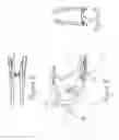 Fig. 04 - Bicycle frame composed with convoluted curves