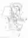 Fig. 02 - Vertically adjustable folding wheelchair