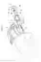 Fig. 02 - Blind member for vehicle, and gap-closing structure including blind member