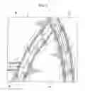 Fig. 06 - Seat cover