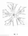 Fig. 04 - Bicycle wheel and hub