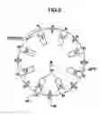 Fig. 11 - Torque converter and system using the same