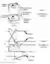 Fig. 04 - Electronic commutator circuits