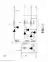 Fig. 05 - Intelligent equalizing battery charger having equalization charging circuitry