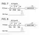 Fig. 04 - RF pulse applying method and MRI apparatus