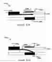 Fig. 23 - Reconfigurable logic structures