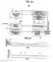 Fig. 15 - Semiconductor integrated circuit device