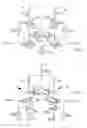 Fig. 02 - Differential cascode amplifier