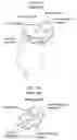 Fig. 07 - Optical encoder device for small-sized motor and method of producing the same