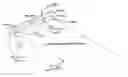 Fig. 01 - Quad-band coupling element antenna structure