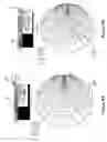 Fig. 12 - Quad-band coupling element antenna structure