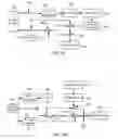 Fig. 42 - Systems and methods for brightness preservation using a smoothed gain image