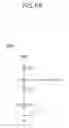 Fig. 07 - Method and apparatus for driving liquid crystal display