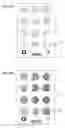 Fig. 31 - Electronic device and method of usage thereof