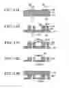 Fig. 14 - LIQUID EJECTION HEAD AND METHOD OF PRODUCING THE SAME