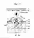 Fig. 19 - LIQUID EJECTION HEAD AND METHOD OF PRODUCING THE SAME