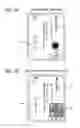 Fig. 08 - Image forming apparatus and image forming method