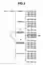 Fig. 04 - Image display apparatus