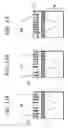 Fig. 13 - Light-collecting device and solid-state imaging apparatus