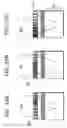 Fig. 18 - Light-collecting device and solid-state imaging apparatus