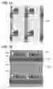 Fig. 02 - Semiconductor device and method for manufacturing the same