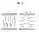 Fig. 16 - Liquid crystal display device and method of controlling viewing angle thereof