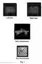 Fig. 02 - System and method for analysis and visualization of metamorphopsia through three dimensional scene regeneration and testing of vision thereby