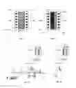 Fig. 04 - Method and apparatus for simultaneous high-speed acquisition of multiple images