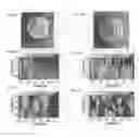 Fig. 04 - Systems and methods for detection and classification of waterborne particles using a multiple angle light scattering (MALS) instrument