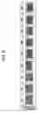 Fig. 09 - THREE-DIMENSIONAL IMAGE REPRODUCING APPARATUS AND METHOD