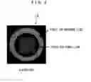 Fig. 04 - Hologram reproduction method and apparatus