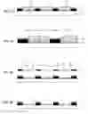 Fig. 02 - Color filter
