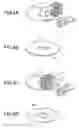 Fig. 04 - Master medium and magnetic recording medium