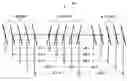 Fig. 01 - Differential timing based servo pattern for magnetic-based storage media