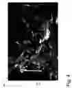 Fig. 05 - Ultracapacitor electrode with controlled binder content
