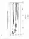 Fig. 04 - Ultracapacitor electrode with controlled carbon content