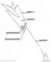 Fig. 01 - Method for creation of laser show utilizing effects of laser interaction with inflated lightweight objects