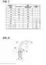 Fig. 07 - Headlight device and method for automotive vehicle