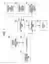 Fig. 02 - File management apparatus and image display apparatus