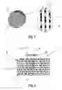 Fig. 02 - Optical information carrier containing bragg reflectors