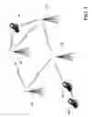 Fig. 02 - Multi-hop wireless mesh network medium access control protocol