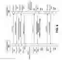 Fig. 09 - Multimode support for wireless communications