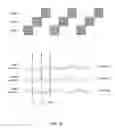 Fig. 08 - Detecting wireless devices to inform about a quiet period