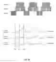 Fig. 09 - Detecting wireless devices to inform about a quiet period