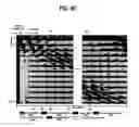 Fig. 09 - Digital television transmitter/receiver and method of processing data in digital television transmitter/receiver