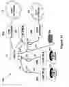 Fig. 12 - Telephone system having multiple distinct sources and accessories therefor