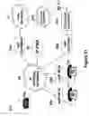 Fig. 23 - Telephone system having multiple distinct sources and accessories therefor