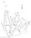 Fig. 02 - Sub-frame synchronized multiplexing